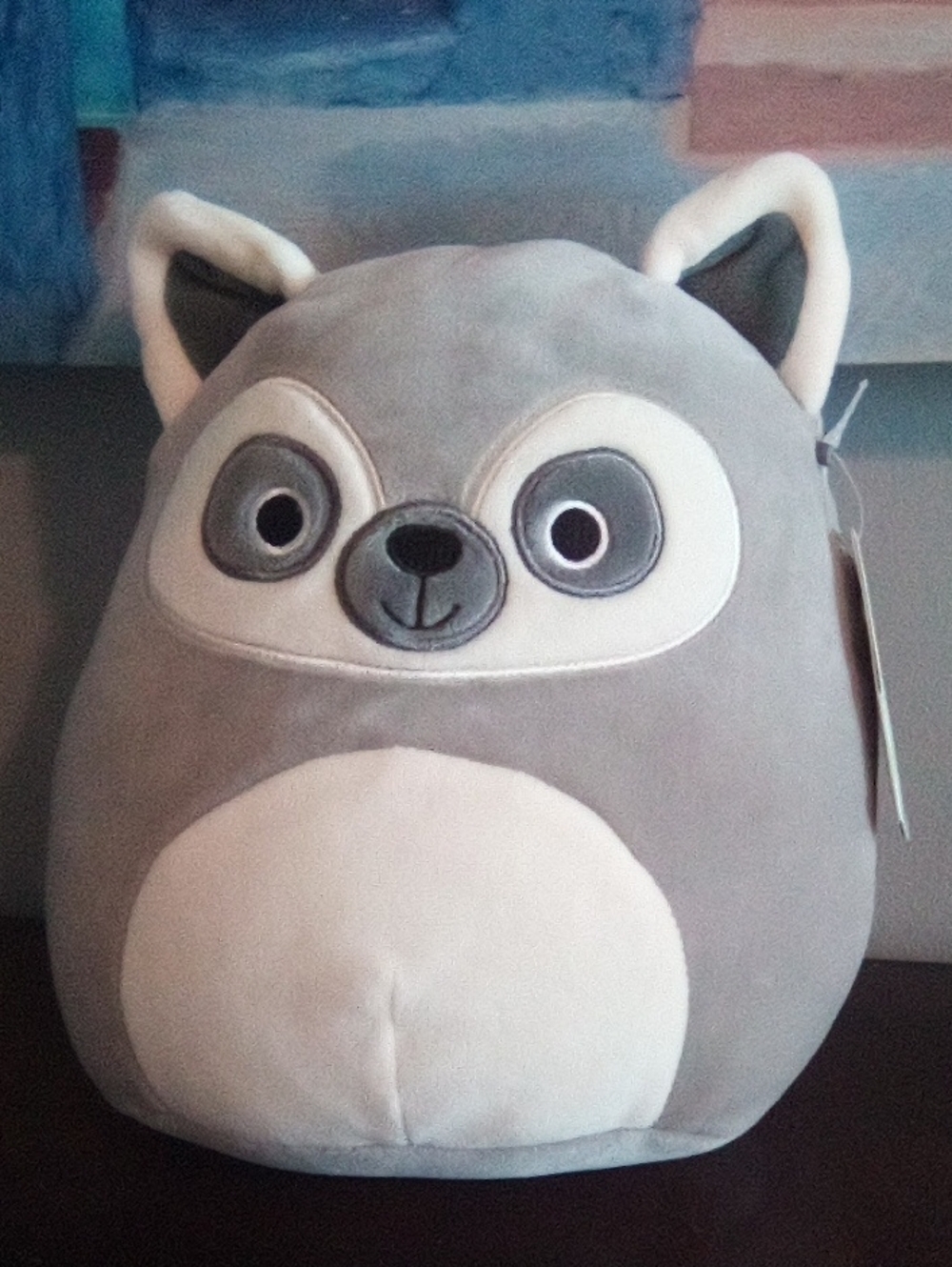 Lauren the Raccoon 8 inch squish mellow Zaboomafoo